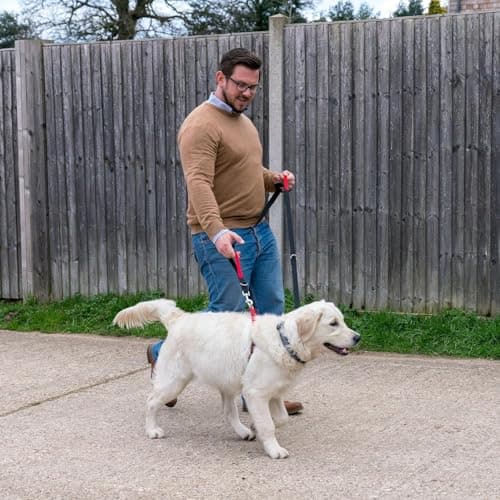 HALTI Control Lead, Black, 2 m, 2 Handles Designed to Help You Educate and Walk Your Dog, Padded Double Ended Dog Training Lead for Dogs and Puppies - Image 5