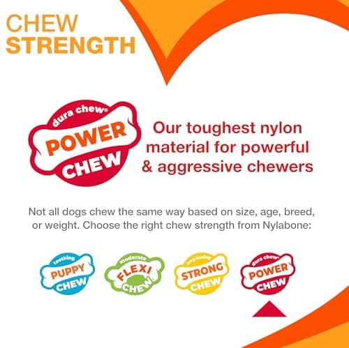 Nylabone Dura Durable Dental Chew Toy, Textured Bone Beef & Cheese Flavour for Medium Dogs (up to 35 lbs), Powerful/Extreme Chew Dogs - Image 5