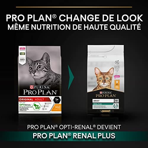PURINA PRO PLAN | Renal Plus | Cat | Complete Dry Food for Sterilized Adult Cats | Helps Maintain Healthy Kidney Function and Urinary System | Chicken | Bag | Pack of 6 x 1.5 kg - Image 3