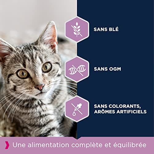EUKANUBA - Premium Kitten Food – Rich in Fresh Chicken and Rice – Promotes Growth - 100% Complete and Balanced Food – DHA – Wheat Free – Non-GMO - Resealable Bag - 10kg - Image 5