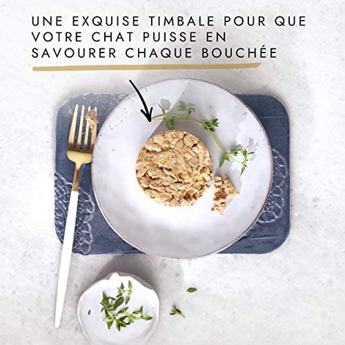 GOURMET | GOLD | Timpani | Complete Food for Adult Cat | Boxes | Beef, Chicken, Salmon, Tuna | 96x85g - Image 8