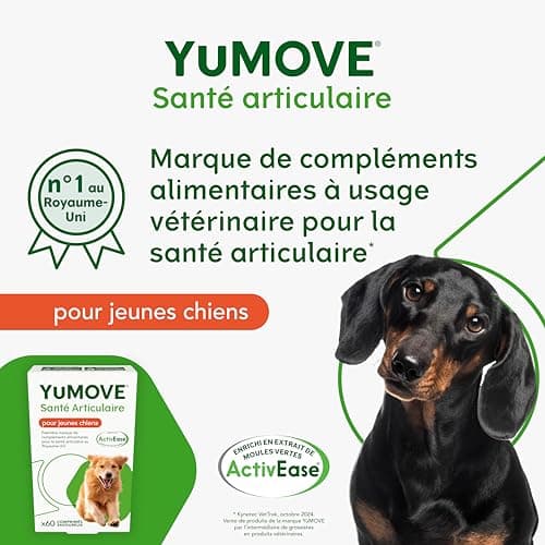 YuMOVE Osteoarthritis for Dogs - Joint Supplement for Young Dogs - 60 Tablets - Joint Support for Active Dogs Containing Green Mussels, Glucosamine, Chondroitin for Agility - Image 4
