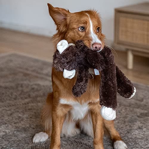 Nobby Safari Monkey Plush Toy for Dogs Brown 41 cm Large Breeds - Image 5
