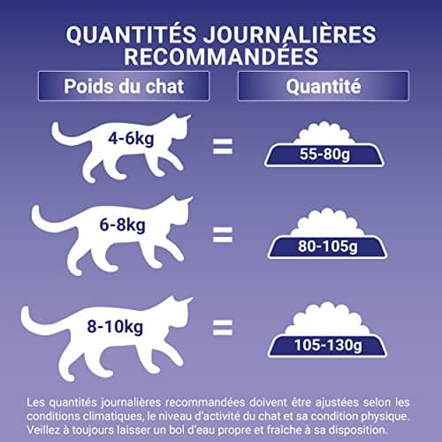 PURINA ONE | Benefits | Sterilized Adult Cat Special | Strengthens the immune system, improves microbiome balance and helps maintain a healthy urinary system | Chicken | Bag | 7.5 kg - Image 8
