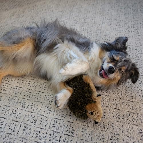 Outward Hound Hedgehogz Soft Toy for Dogs - Brown - M - Image 7