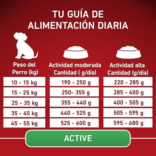 PURINA ONE | Active | Medium and Large Adult Dog > 10kg | High Protein Dry Food | Helps Maintain Strong Muscles and Sufficient Energy | Chicken | Bag | 7kg - Image 8