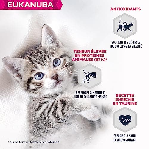 EUKANUBA Grain Free Kitten Dry Food - Rich in Salmon - DHA, Non-GMO, Artificial Colors, Flavours - 2 kg - Image 4