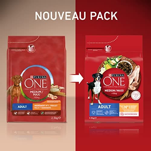 PURINA ONE | Medium & Large Adult Dog > 10kg | High Protein Dry Food | Helps Maintain Strong Muscles and Sufficient Energy | Beef | Bag | 7kg - Image 3