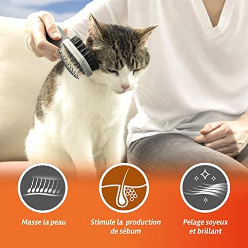 FURMINATOR Brush - Double-sided - Side comb: detangles hair - Brush side: smoothes and shines the coat - Dogs and Cats - Designed and recommended by professionals - BPA free - Image 4
