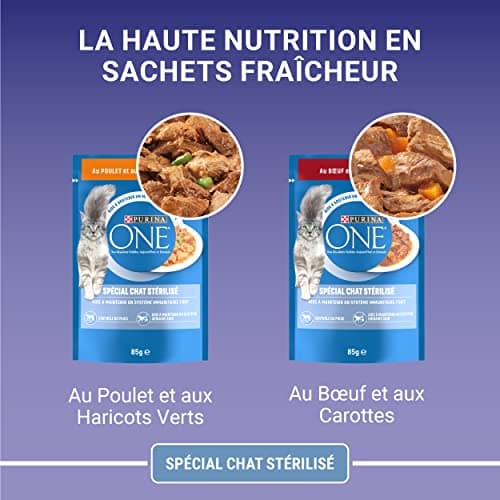 PURINA ONE | Benefits | Sterilized Adult Cat | Helps Control Weight and Maintain a Healthy Urinary System | Tapered in Sauce | Chicken, Beef | Fresh Sachets | Pack of 12 x (4 x 85g) - Image 8