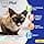 LickiMat Felix Slow Feeder Fish Shaped Cat Feeder for Boredom and Anxiety Reduction Ideal for Food, Treats and Anxiety Reduction, Turquoise - Image 6