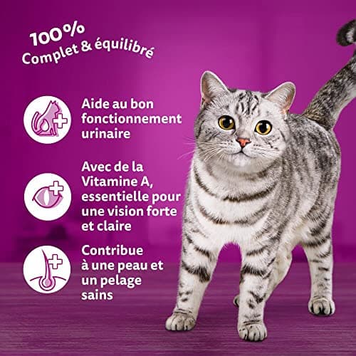 WHISKAS Tuna Food for Adult Cats 3.8 kg, Pack of 3 - Image 5