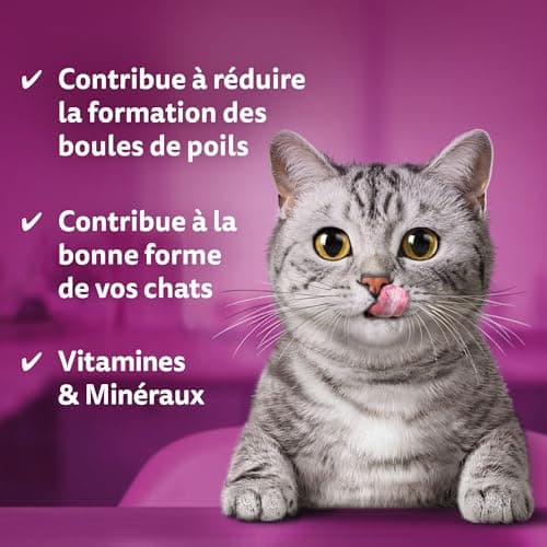 Whiskas Hair Ball Control Cat Treats 50g Pack of 6 - Image 4