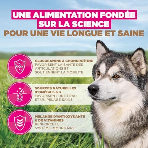 Eukanuba Croquettes Premium sans Céréales Chien Sénior de Grande Race– Riche en Poisson de l’Océan - Hypoallergénique – Glucosamine Chondroïtine-12 kg - Image 8