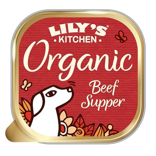Lily's Kitchen Made from natural ingredients Wet Food Tray for Adult Dogs Organic Beef 11 x 150 g - Image 3