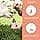 Wolfsbacher Salmon Oil 500ml for Dogs and Cats, Omega 3-6 Natural, Norwegian Atlantic Salmon - Image 5