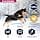 Eukanuba Dog Dry Food Rottweiler Chicken 12 kg - Image 3