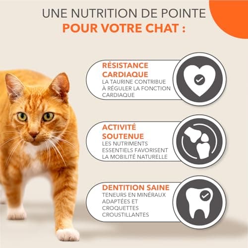IAMS Advanced Nutrition for Senior Cats 7 Years + 100% Complete & Balanced Tuna Food - Strengthens Joints & Heart - Non-GMO Artificial Flavour Colouring - Resealable Bag 3 kg - Image 6