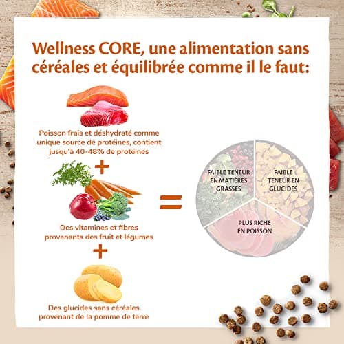 Wellness CORE Ocean 1.75 kg, Salmon/Tuna – Grain Free, Natural, Hypoallergenic, High Protein, High Fish Content, Healthy Skin & Shiny Coat - Image 5