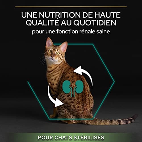 PURINA PRO PLAN | Renal Plus | Cat | Complete Dry Food for Sterilized Adult Cats | Helps Maintain Healthy Kidney Function and Urinary System | Salmon | Bag | Pack of 4 x 3 kg - Image 9