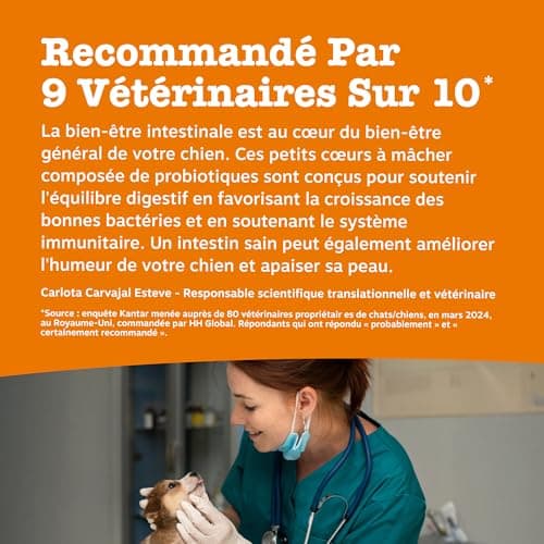 Zesty Paws Probiotic - Complément pour Chien sous Forme de friandise - Probiotique Chien - Système Immunitaire - Combinaison inédite prébiotiques, probiotiques et postbiotiques - 90 Unités - Image 5
