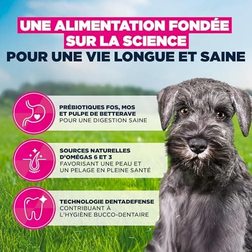 EUKANUBA Life Care Small Breed Puppy Food 1 to 12 Months, Rich in Fresh Chicken, Optimal Growth - DHA, Calcium, Omega 3&6, FOS Prebiotics, No Dyes, Artificial Flavours or GMOs - 3kg - Image 5