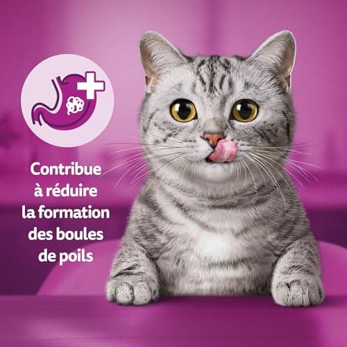 Whiskas Hair Ball Control Cat Treats 50g Pack of 6 - Image 8