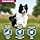 Eukanuba Adult Dog Dry Food For Small and Medium Breed Lamb&Rice 2.5kg - Image 6