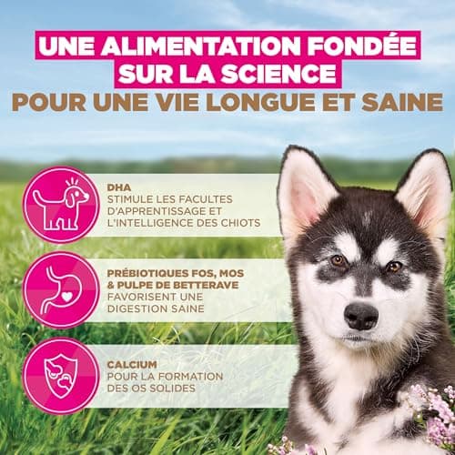 Eukanuba Premium Grain Free Dry Food for Large Breeds Puppies - Rich in Ocean Fish - Hypoallergenic - DHA, Calcium - 12kg Bag - Image 7