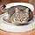 Ferplast Jouet Interactif pour Chat TYPHON Jouet Chat Circuit Modulaire, Boule Lumineuse LED incluse - Image 6