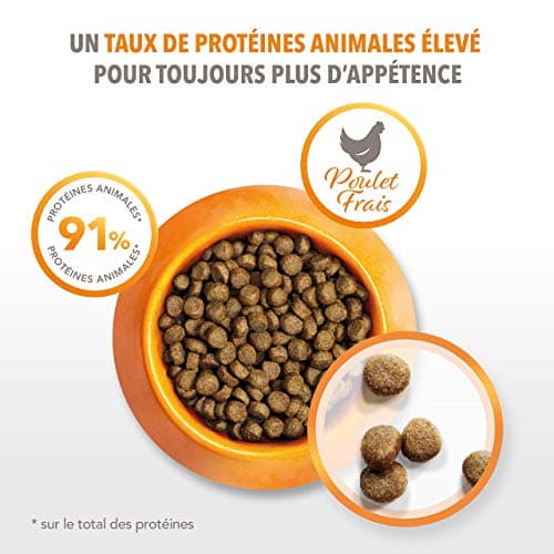 IAMS Advanced Nutrition Premium Kitten Dry Food - Healthy Whole Flavours - Promotes Growth - Fresh Chicken - Non-GMO Artificial Flavour Colours - Resealable Bag of 1.5 kg - Image 4