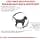 Royal Canin Expert Castrated Adult Small Dogs | 1.5 kg | Complete food for adult neutered dogs of small breeds | To maintain optimal body weight - Image 5