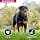Eukanuba Dog Dry Food Rottweiler Chicken 12 kg - Image 5