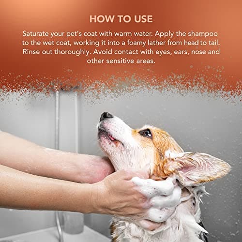 WAHL Showman Dirty Beastie Pet Shampoo - Image 8