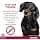 Advantix ® Spot On for Dogs Over 10 kg to 25 kg – 4 Pipettes of 2 ml – ... - Image 7