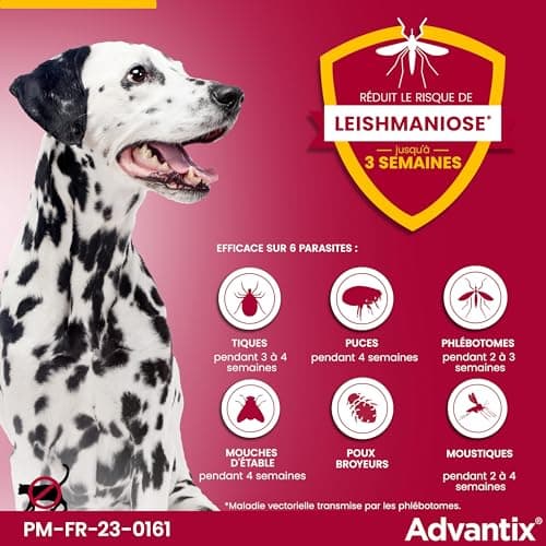ADVANTIX Medium Dog – Flea and Anti-Tick – 10-25 kg – 6 Pipettes - Image 6
