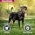 Eukanuba Dog Dry Food Rottweiler Chicken 12 kg - Image 7