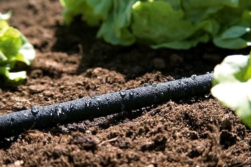 Gardena Water saving controls Sprinkler for irrigation of rows and beds of vegetables, water savings up to 70%, individual length length, easy to use (1968-20) - Image 3