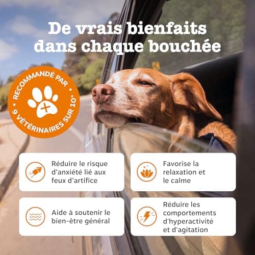 Zesty Paws Calming - Complément pour Chien sous Forme de friandise - Anti Stress - calmant - Hyperactivité - Ashwagandha, Thé Vert et L-Tryptophane - 90 Unités - Image 4