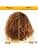 Matrix Haircare A Curl Can Dream Oil 150ml - oil for curly hair - Image 3