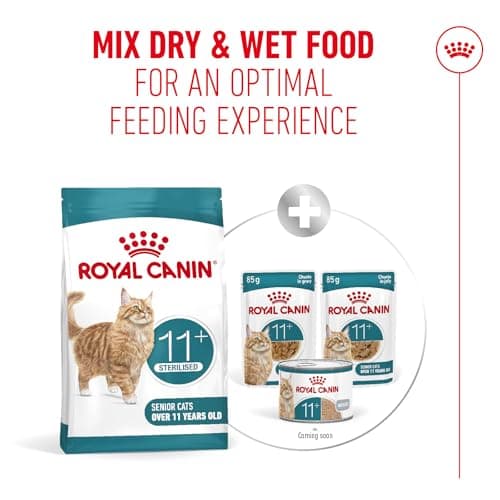 ROYAL CANIN AGEING 11+ | 2kg | Dry Food for Senior Cats Over 11 Years | Formula with HealthyAge7 Complex | Contains Easy Chewable Kibble - Image 7