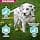 EUKANUBA Dog Daily Care Sensitive Digestion Puppy 2.3 kg - Image 3