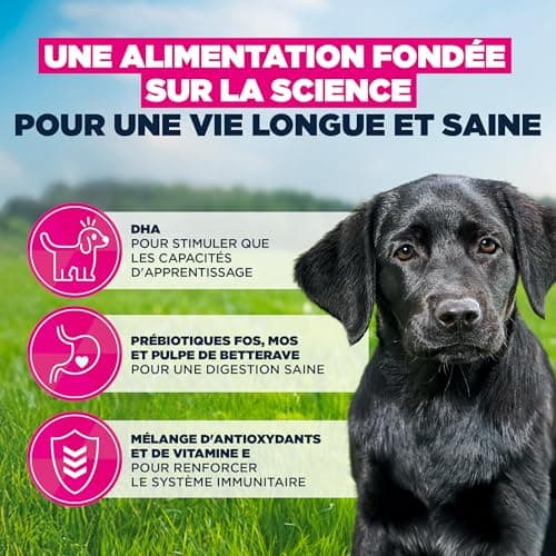 EUKANUBA Life Care Large Breed Puppy Food 1 to 12 Months, Rich in Fresh Chicken, Optimal Growth - DHA, Calcium, Omega 3&6, FOS Prebiotics, No Dyes, Artificial Flavours or GMOs - 15kg - Image 5