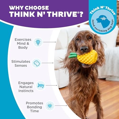 Outward Hound Planet Dog Jouet Dentaire à mâcher en Forme d'ananas et de friandises interactif Durable pour Chien, Jaune - Image 7