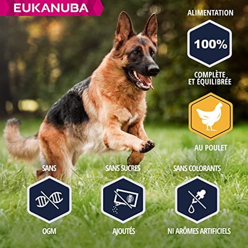 Eukanuba Dog Dry Food German Shepherd Chicken 12 kg - Image 3