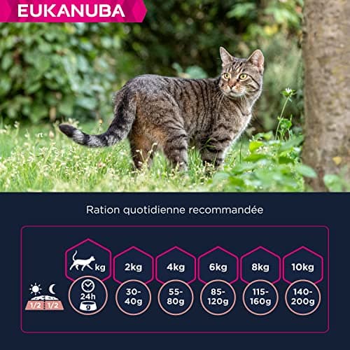 EUKANUBA Premium Dry Food for Senior Cat - 100% Complete and Balanced Food - Rich in Rice - Fresh Chicken - L-Carnitine - Non-GMO, Wheat Free - Resealable Bag - 10kg - Image 6