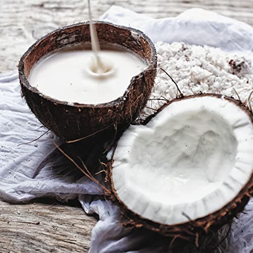 OGX | Nourishing + Coconut Milk Conditioner (Travel Size Bottle 90ml) - Nourishing Conditioner for All Hair Types - Moisturizing Coconut Milk Hair Care - Image 5