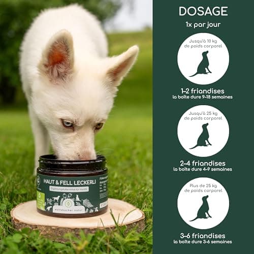 Omega 3 for Dogs - with Salmon Oil, Coconut Oil, Brewer's Yeast | 125 Treats Against Itching - Image 6