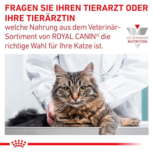 Royal Canin Veterinary Gastrointestinal | 12 x 85 g | Wet Food for Adult Cats | Fine Chunks in Sauce | For Intestinal Absorption Disorders - Image 6