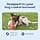 PetSafe Sportsmen Squeak N Treat Booya Rechargeable Dosing Toy for Dogs, Size M - Image 5